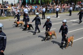 Fédération Nationale des Pompiers